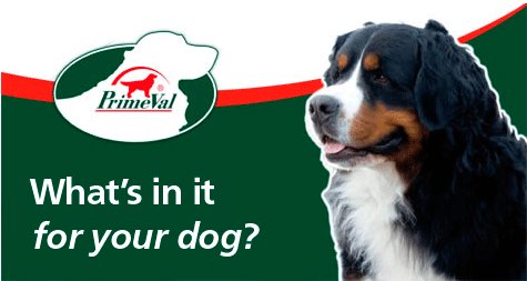 Whats in it for my Dog